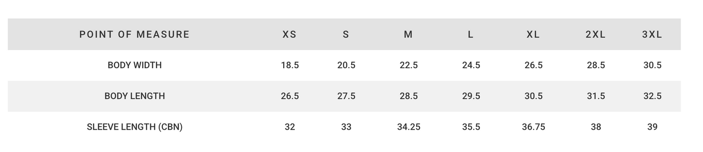 Cowboy Boots Embroidered